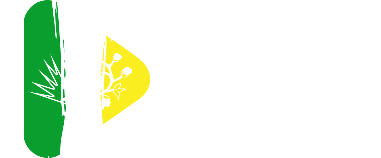Picuí